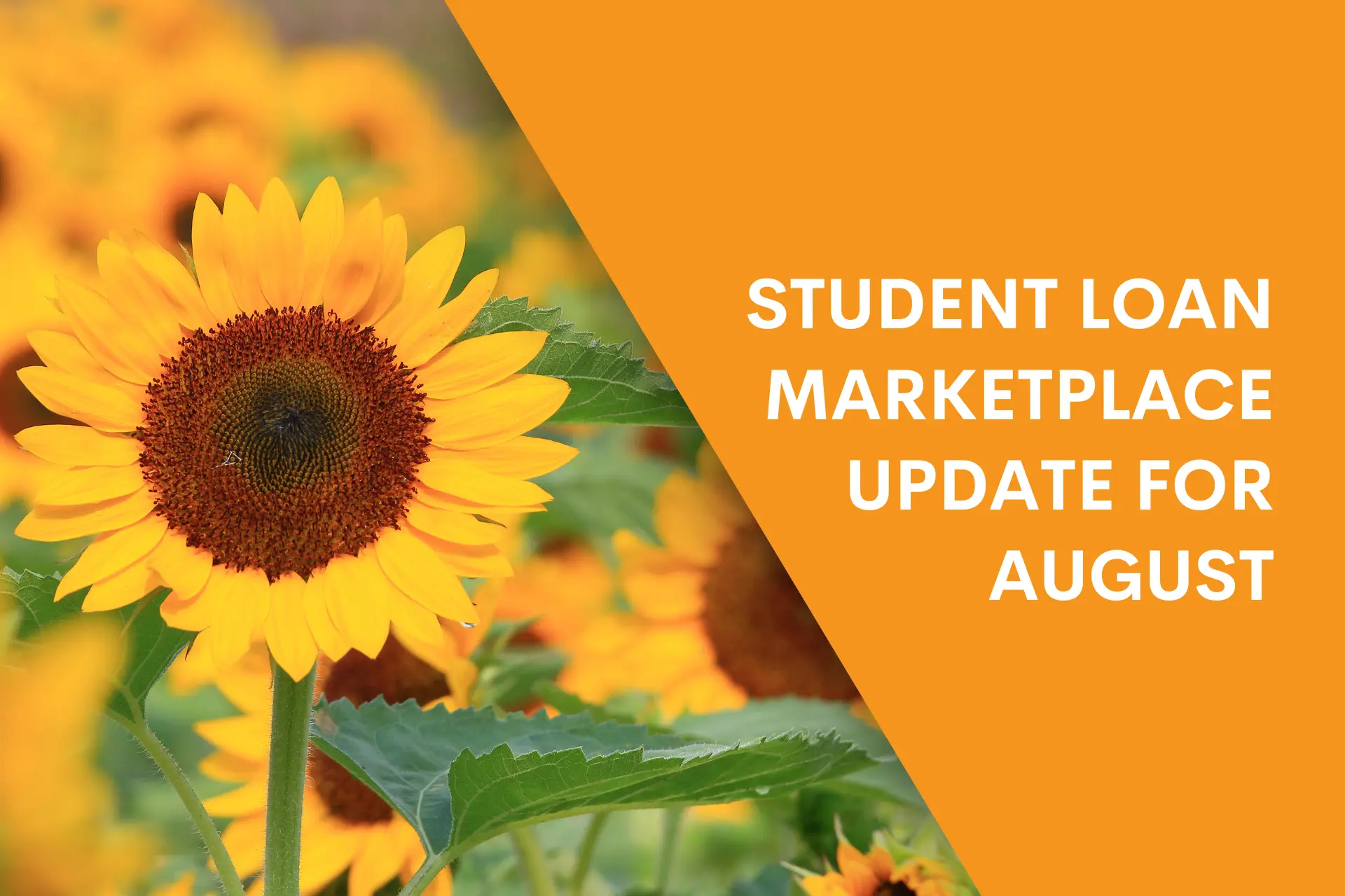 August Student Loan Update Header Image