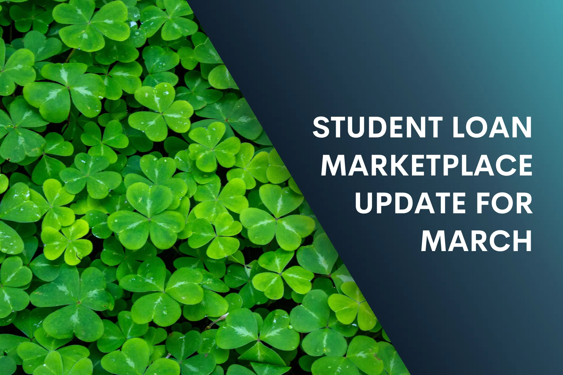 March Blog Header Image