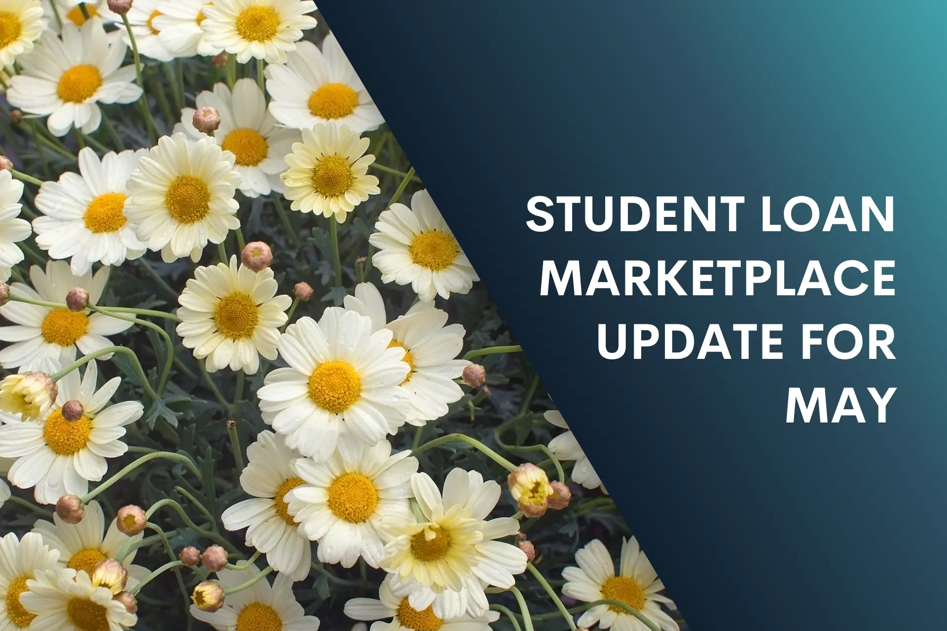 SLP_blogheader_MAY26 May Student Loan Blog